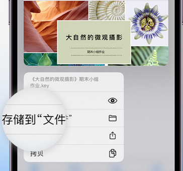富蕴apple维修中心分享iPhone文件应用中存储和找到下载文件