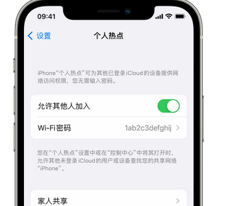 富蕴apple服务站点分享iPhone上个人热点丢失了怎么办