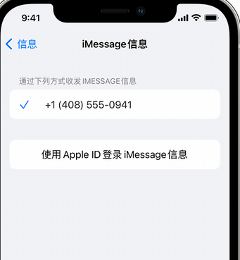 富蕴apple维修iPhone上无法正常发送iMessage信息 