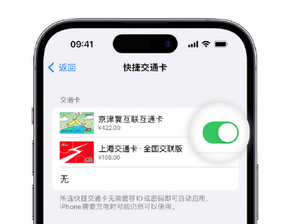 富蕴apple维修点分享iPhone上更换Apple Pay快捷交通卡手绘卡面 