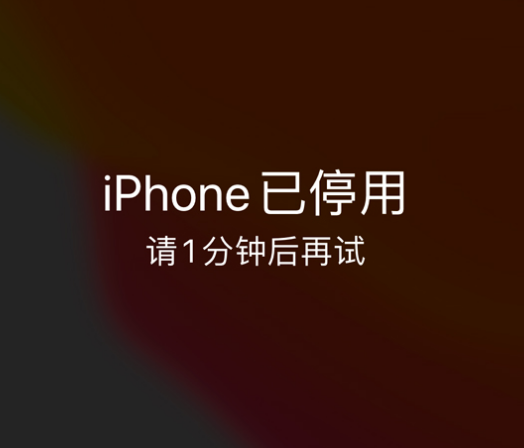 富蕴苹果手机维修分享:iPhone 显示“不可用”或“已停用”怎么办？还能保留数据吗？ 