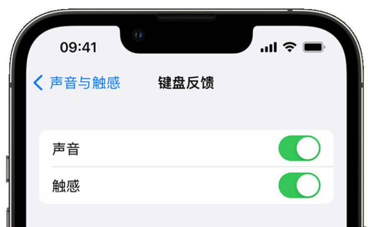 富蕴苹果手机维修分享iPhone 14触感键盘使用方法 