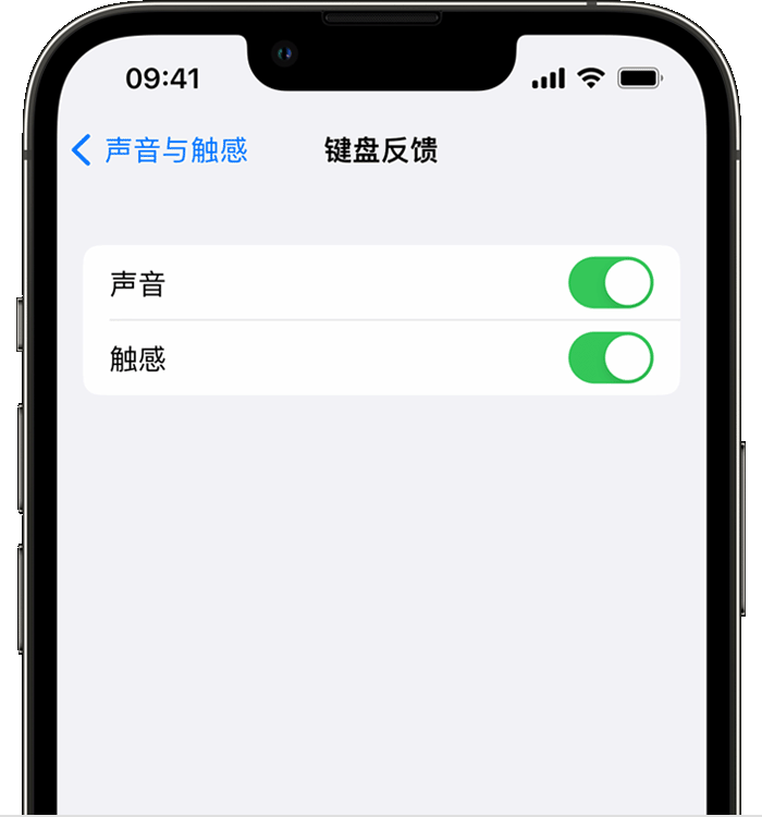 富蕴苹果14维修店分享如何在 iPhone 14 机型中使用触感键盘 