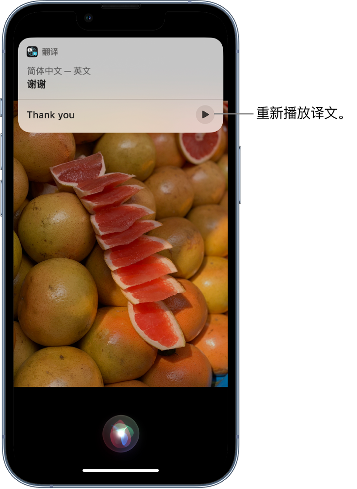 富蕴苹果14维修分享 iPhone 14 机型中使用 Siri：了解 Siri 能帮你做什么 