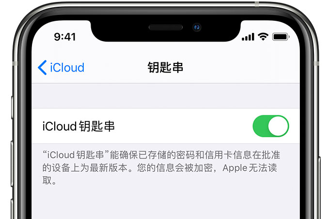 富蕴苹果手机维修分享在 iPhone 上开启 iCloud 钥匙串之后会储存哪些信息 