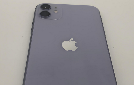 富蕴苹果11系统维修分享iPhone11手机系统崩溃无法开机如何解决 